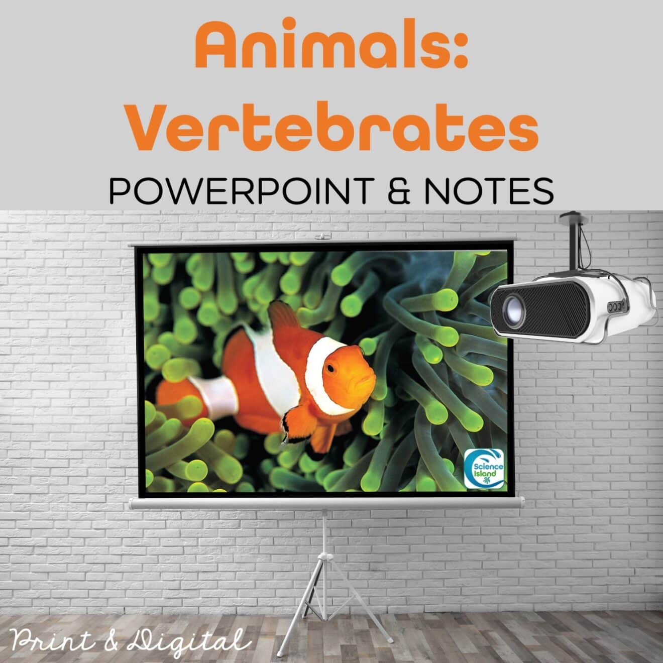 powerpoint presentation about vertebrates