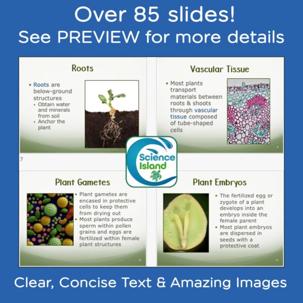 plants powerpoint