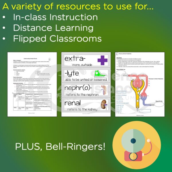 Urinary System Activities, Bell-Ringers, and Assessments - Image 3