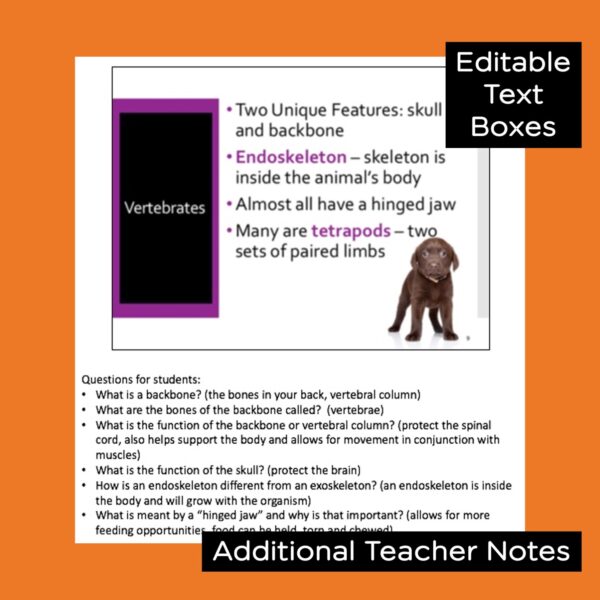 vertebrates powerpoint