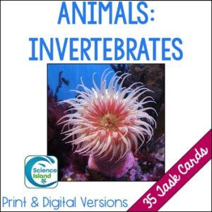 Invertebrates Task Cards Activity for Biology (Print & Digital)