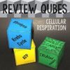 Cellular Respiration Review Qubes Game