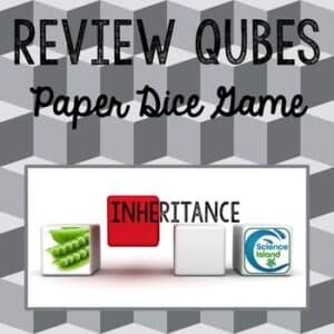 Inheritance Review Qubes