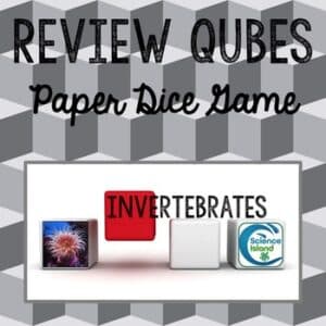 Invertebrates Review Qubes