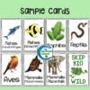 Vertebrate Taxonomy Skip-Bio Card Game