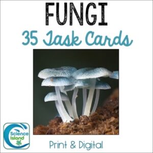 Fungi Task Cards Activity for Biology (Print & Digital)