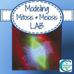 Mitosis and Meiosis Lab