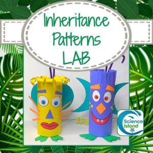 Inheritance Patterns Lab